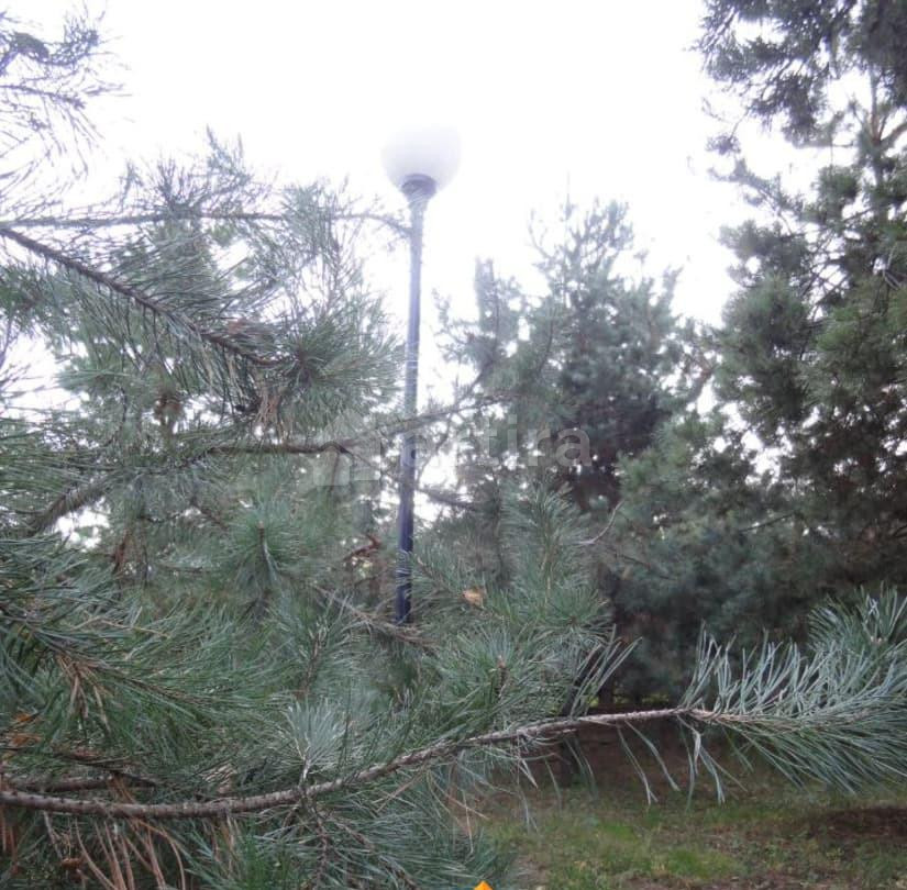 Коттедж, 260 м2, 34 сотки Одинцово - изображение 6