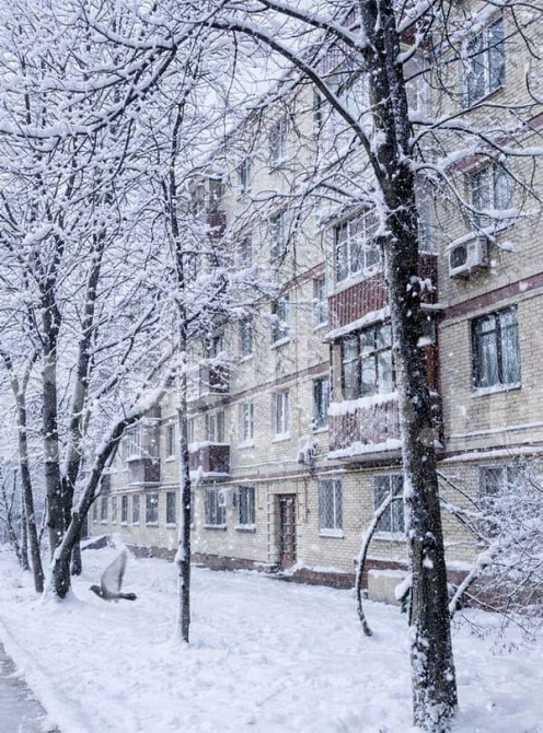 Студия, 24 м2, 1/5 эт. Москва - изображение 4