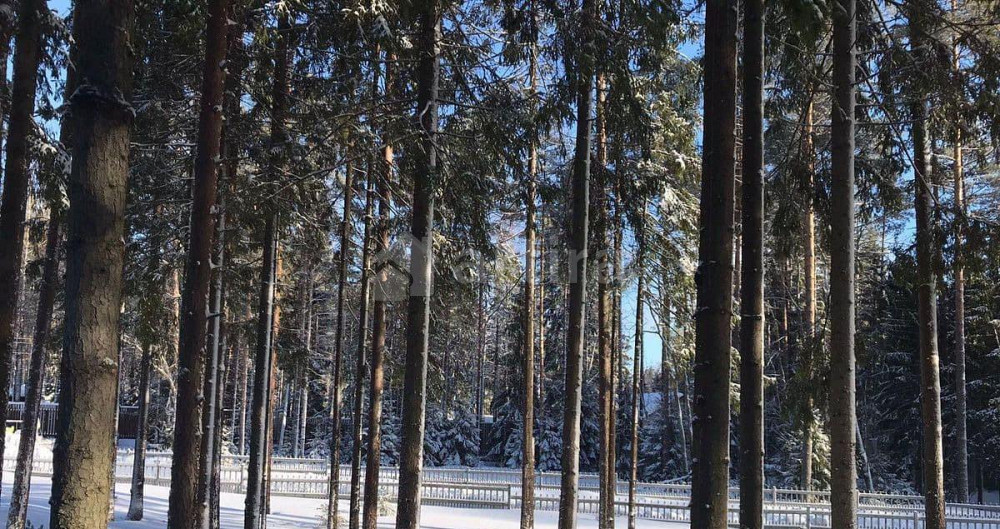 Дом, 150 м2, 15 соток, 2 эт. Рощино - изображение 2