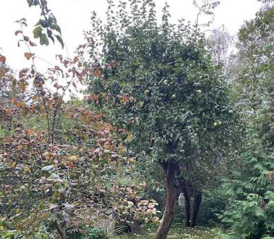 Дом, 130 м2, 10 соток, 2 эт. Одинцово