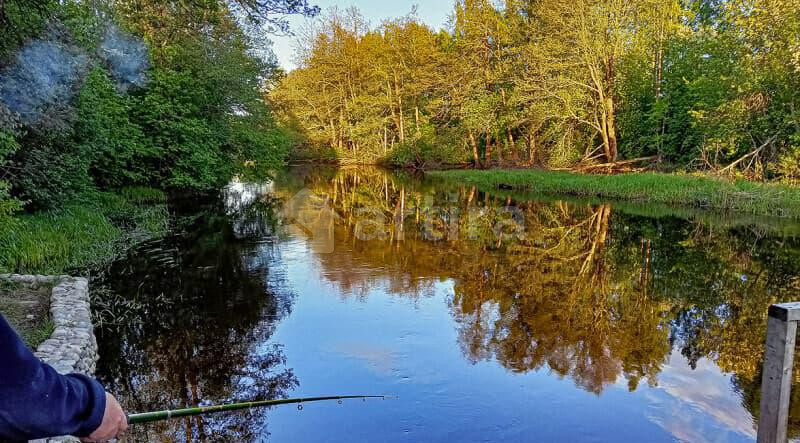 Коттедж, 550 м2 Выборг - изображение 2