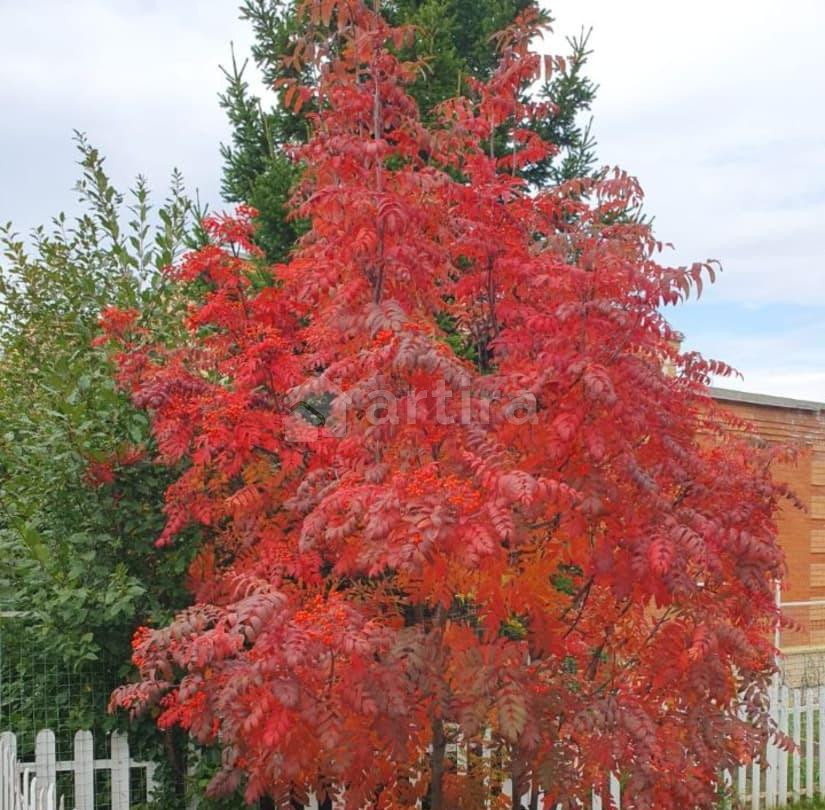 Таунхаус, 120 м2, 4 сотки, 2 эт. Новосибирск - изображение 3