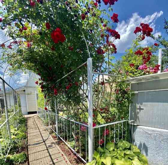 Комната, 100 м2, 1/2 эт. Ростов-на-Дону