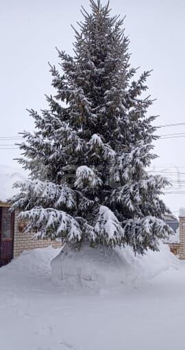 Коттедж, 120 м2 Хвалынск - изображение 1