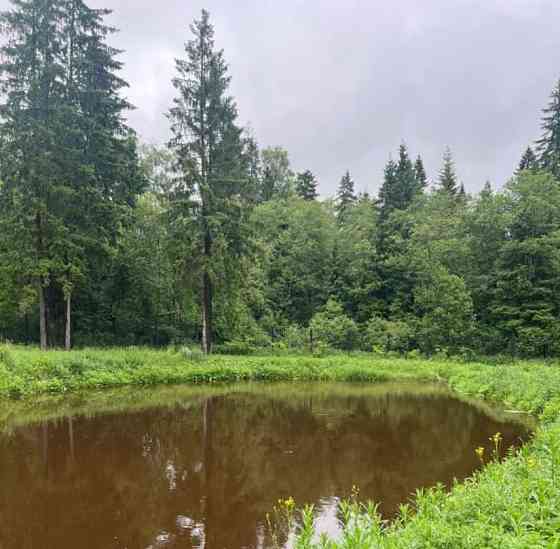 Коттедж, 700 м2, 1.2 га, 3 эт. Солнечногорск