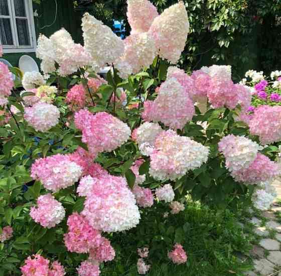 Дом, 70 м2, 6.9 сотки, 1 эт. Красногорск