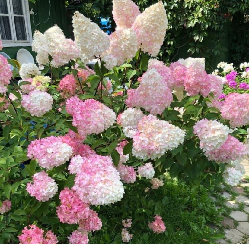 Дом, 70 м2, 6.9 сотки, 1 эт. Красногорск - изображение 1