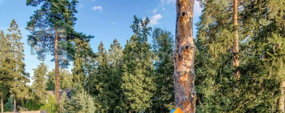 Дом, 760 м2, 16 соток, 3 эт. Одинцово - изображение 1