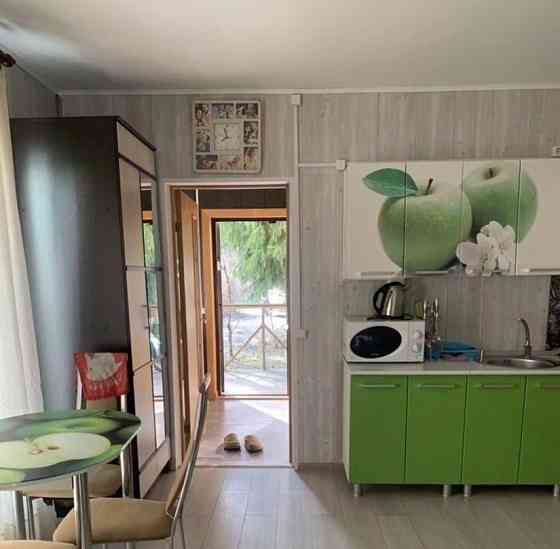 Дом, 40 м2, 17 соток, 1 эт. Сосново