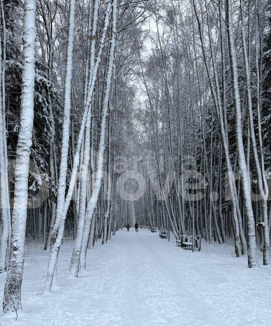 2-комн. квартира, 58 м2, 16/24 эт. Москва - изображение 3