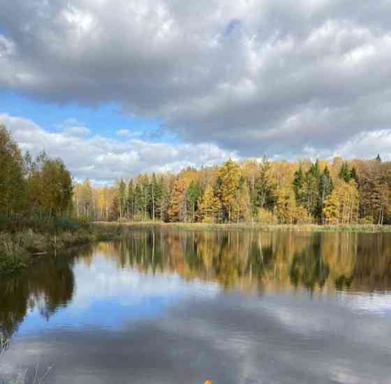 Дом, 20 м2, 1 сотка, 1 эт. Балабаново
