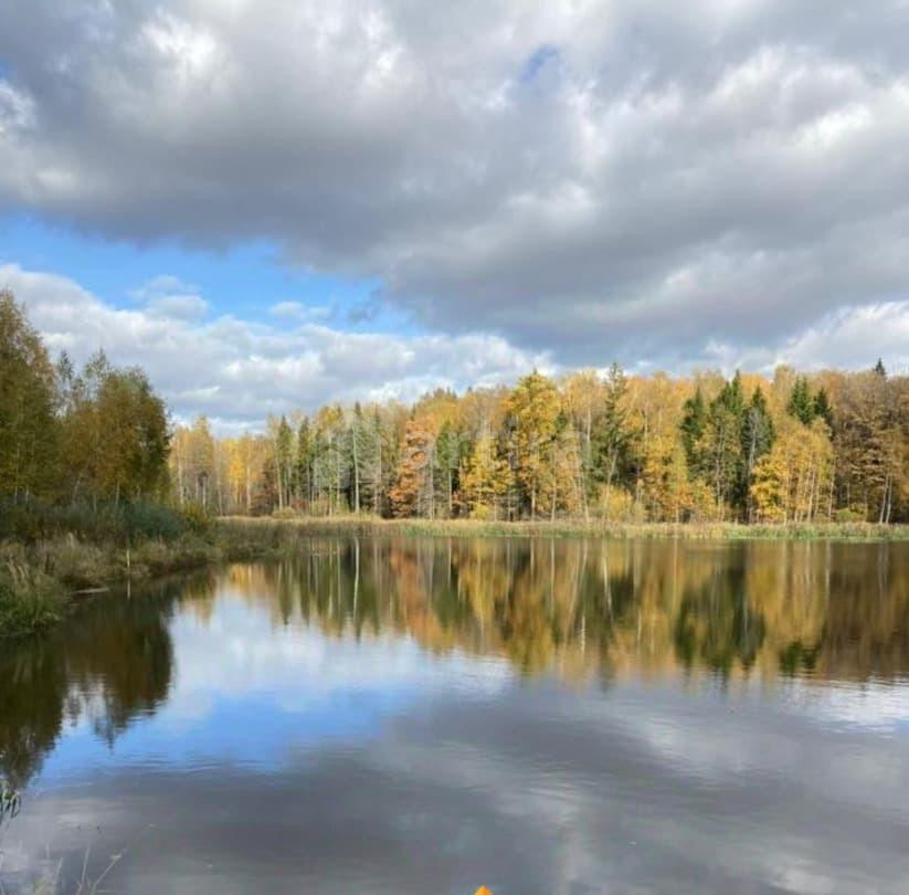 Дом, 20 м2, 1 сотка, 1 эт. Балабаново - изображение 3