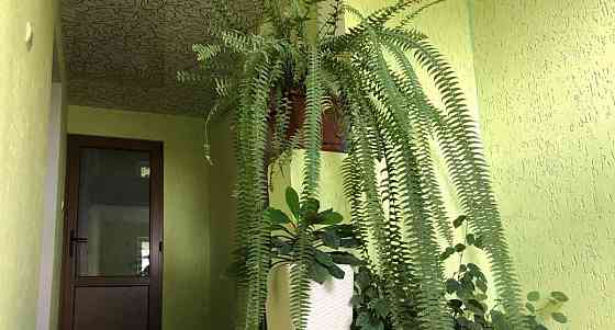 Дом, 170 м2, 6 соток, 2 эт. Ялта