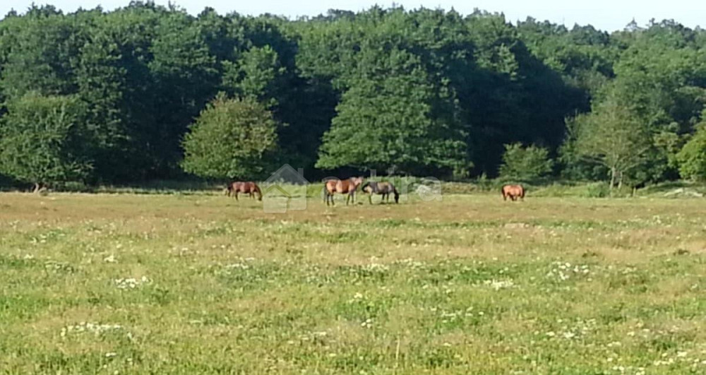 Дом, 61 м2, 0.8 га, 2 эт. Зеленоградск - изображение 4