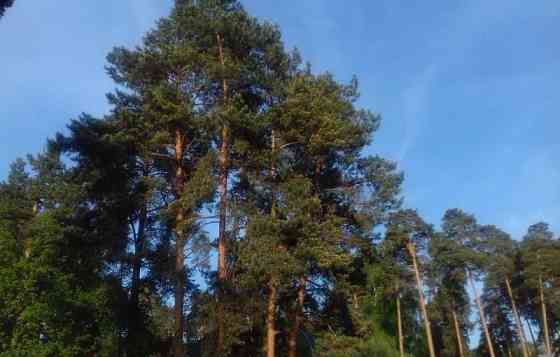 Коттедж, 210 м2, 8 соток Ильинский