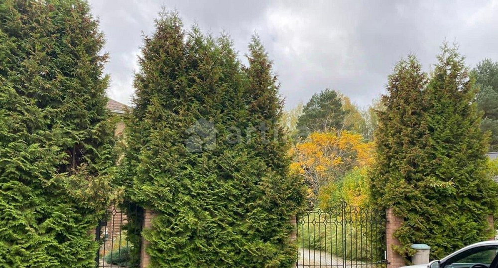 Дом, 332.3 м2, 16.2 сотки Истра - изображение 4