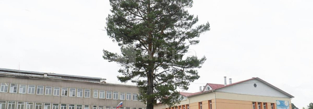 Комната, 12 м2, 4/5 эт. Лесосибирск - изображение 4