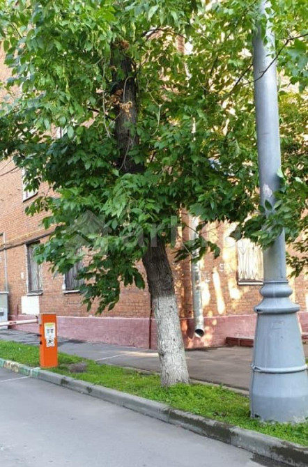 Комната, 70 м2, 1/6 эт. Москва - изображение 4