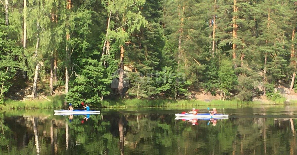 Дом, 56 м2, 5 соток, 1 эт. Сосново - изображение 4