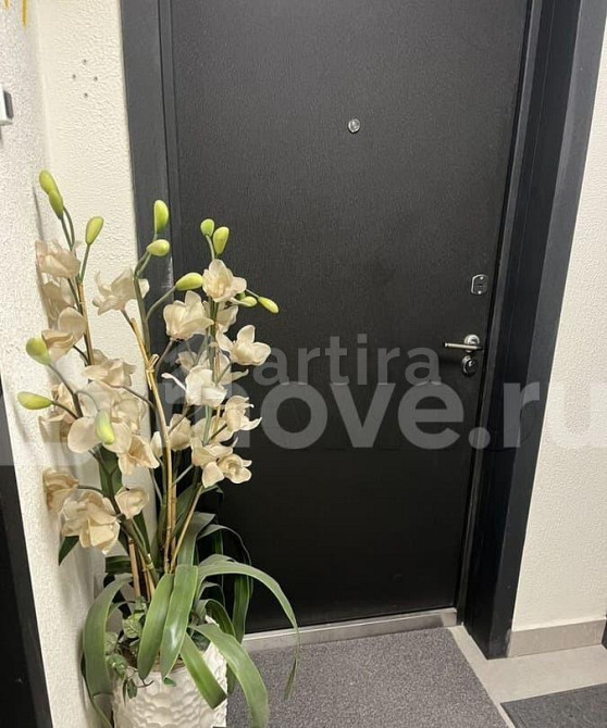 Студия, 25 м2, 26/33 эт. Москва - изображение 7