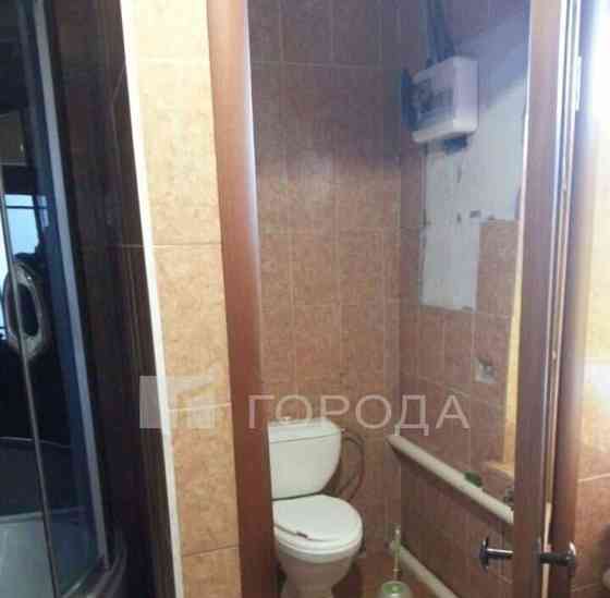 Дом, 300 м2, 3 га, 1 эт. Новосибирск