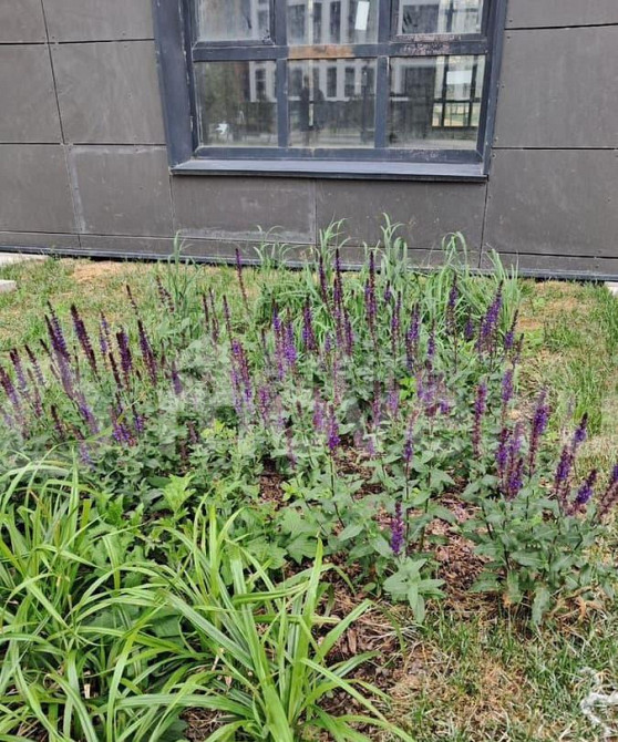 1-комн. квартира, 38 м2, 5/15 эт. Москва - изображение 7