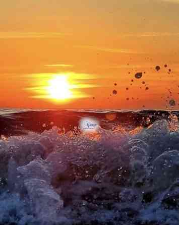 Дом, 26 м2, 1 эт. Светлогорск