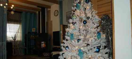 Коттедж, 150 м2 Новосибирск