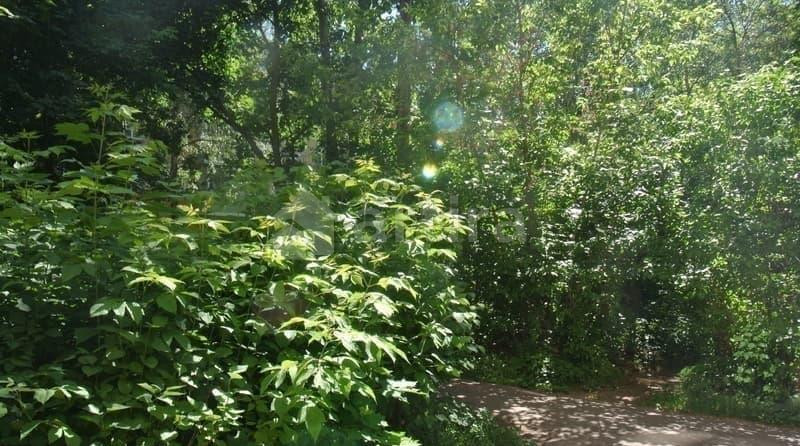 Коттедж, 240 м2, 9 соток Томилино - изображение 17