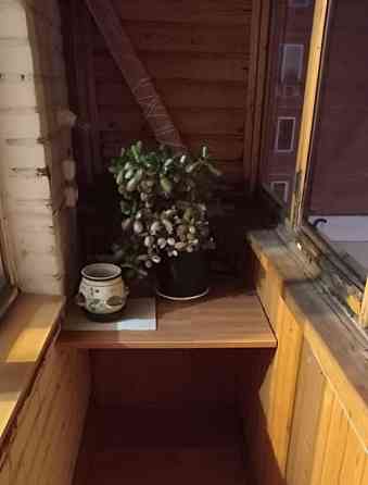 Комната, 19 м2, 5/9 эт. Москва