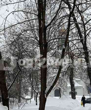 1-комн. квартира, 30.5 м2, 4/5 эт. Москва