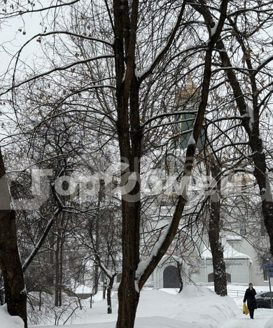 1-комн. квартира, 30.5 м2, 4/5 эт. Москва - изображение 6