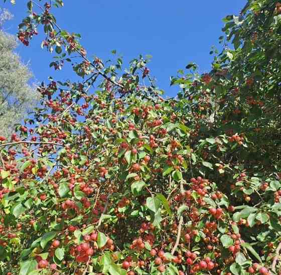 Дом, 100 м2, 20 соток, 1 эт. Солнечногорск