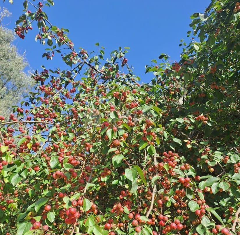 Дом, 100 м2, 20 соток, 1 эт. Солнечногорск - изображение 6