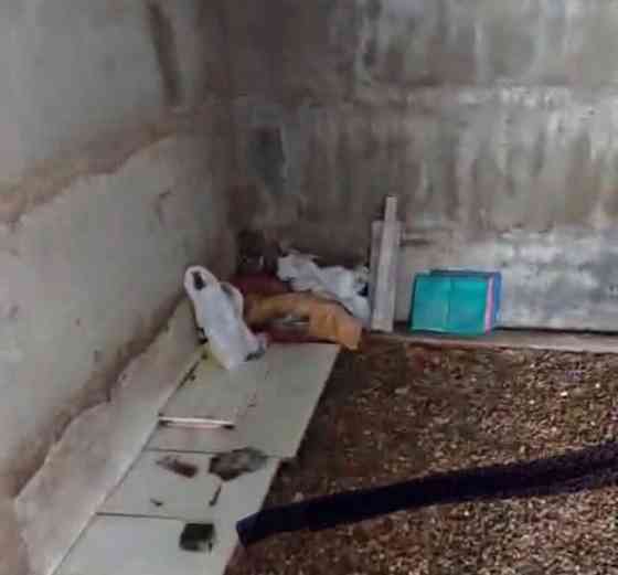 Гараж, 18.6 м2 Москва