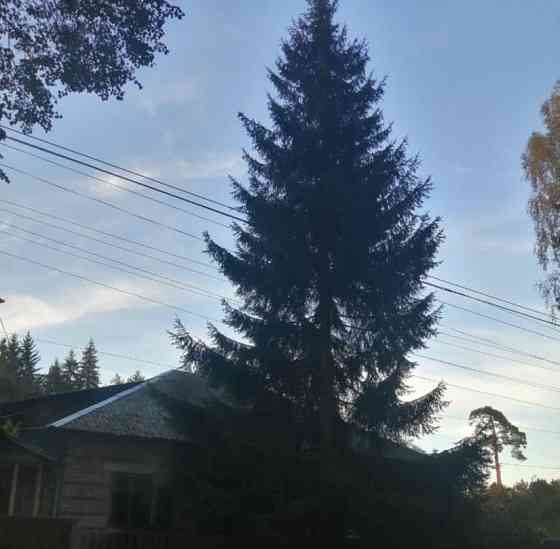 Коттедж, 206 м2, 12 соток, 1 эт. Кировск