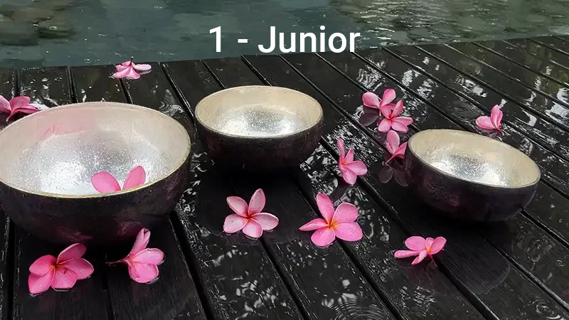 Оздоровительный сеанс Healingbowl в Куала Лумпуре - Junior