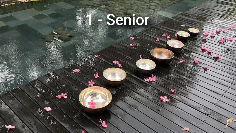 Оздоровительный сеанс Healingbowl в Куала Лумпуре - Senior