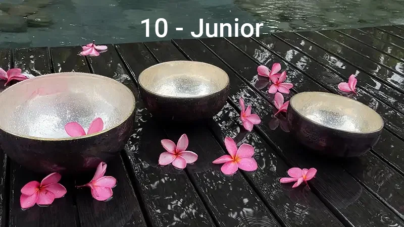 Курс 10 сеансов Healingbowl - Junior