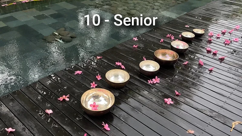 Курс 10 сеансов Healingbowl - Senior