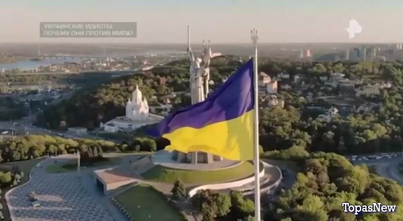 Украинские идиоты: почему они против мира?