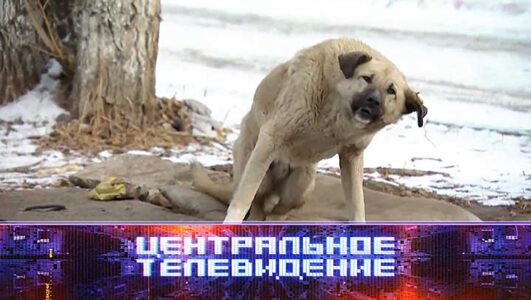 Центральное телевидение 15.03.2025