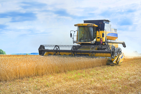 A Russian combine harvester