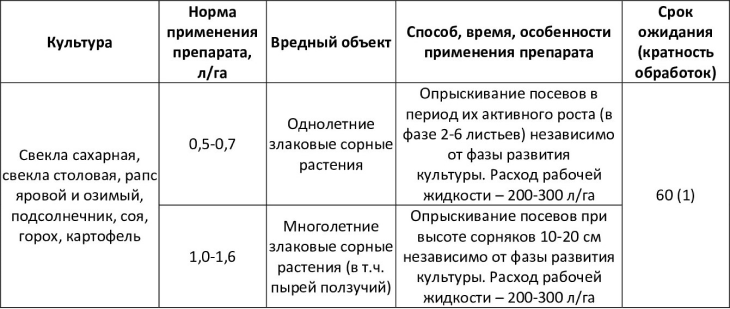 Квестор Форте, КС