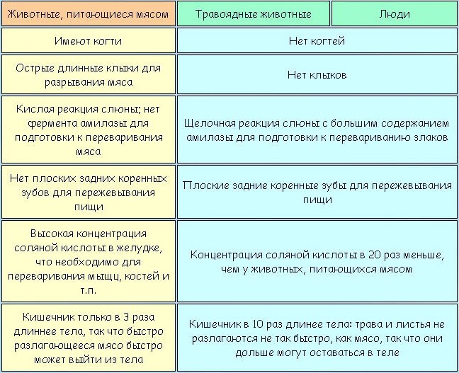 Сравнение поведения. Таблица хищных животных и травоядных. Сравнение растительноядных и плотоядных животных. Таблица сравнение хищника и человека. Таблица особенности хищников и травоядных.