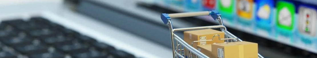 article preview