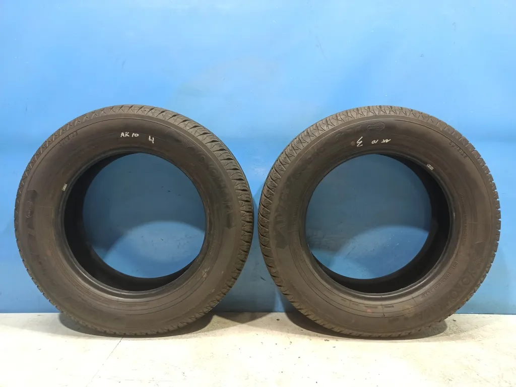 Шина Avid Ascend R16