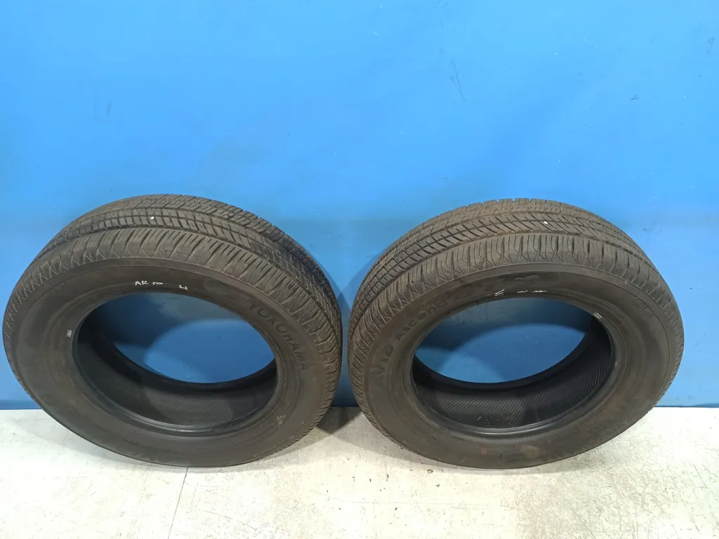 Шина Avid Ascend R16