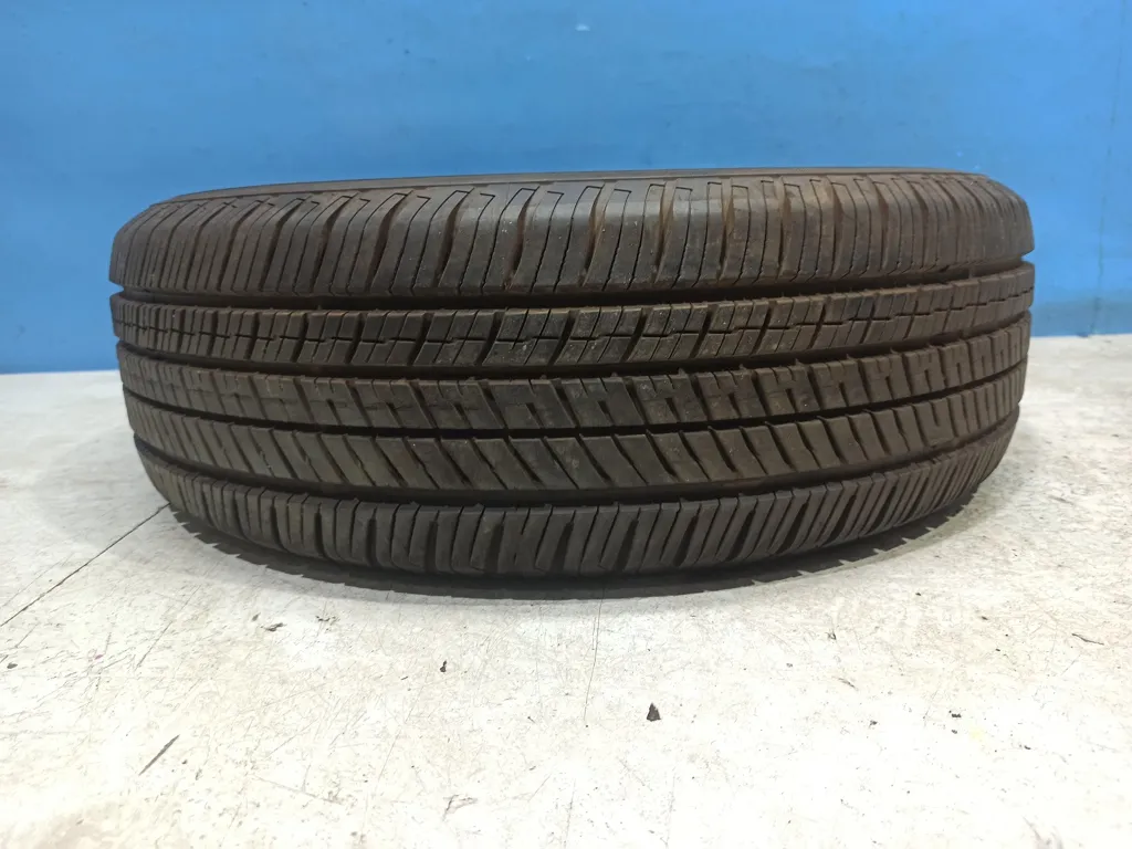 Шина Avid Ascend R16