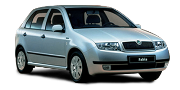 Двигатель дергается Fabia